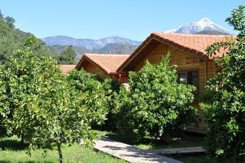 Azra Villas Cirali Bagian luar foto