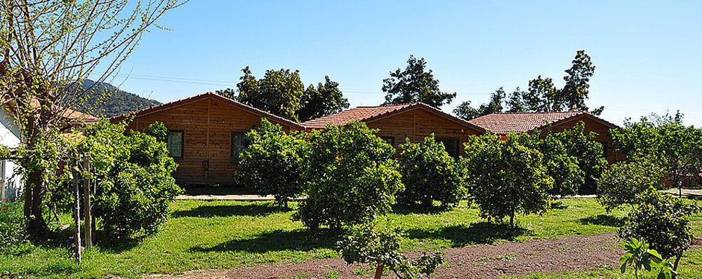 Azra Villas Cirali Bagian luar foto